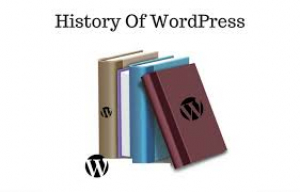„WordPress“ įkūrimo istorija